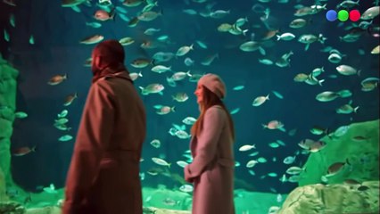 Lazos De Sangre Capitulo 332 - Capitulo 332 Lazos De Sangre