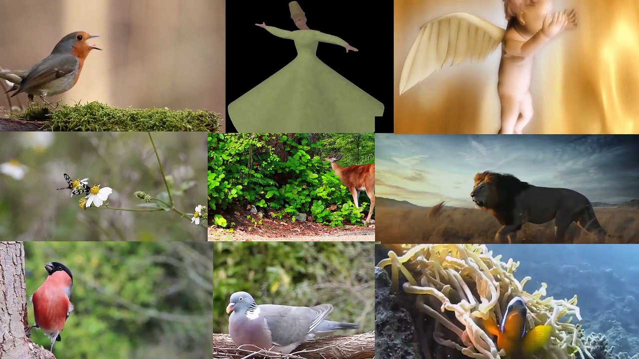 Ghous e Azam Hazrat Sheikh Abdul Qadir Jilani ki Bachpan ki Karamat in Urdu - Hindi (Urdu Islamic Videos)