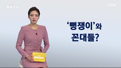 [주간 돌발영상] 2020년 1월 둘째 주  / YTN