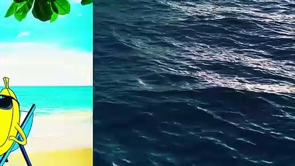 8 Newest Planets Where Our Survival Is Possible