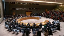 UNSC votes to extend Syria's cross-border aid