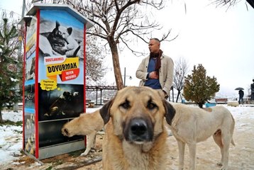 Boks makinesinden esinlendi, sokak hayvanları için mamamatik yaptı