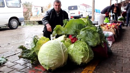Dev Lahana Görenleri Şaşırttı