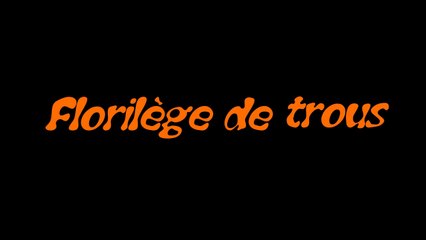 Chasse et tirs de palombes 2016 Florilge de trous