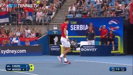 Djokovic propels Serbia to final