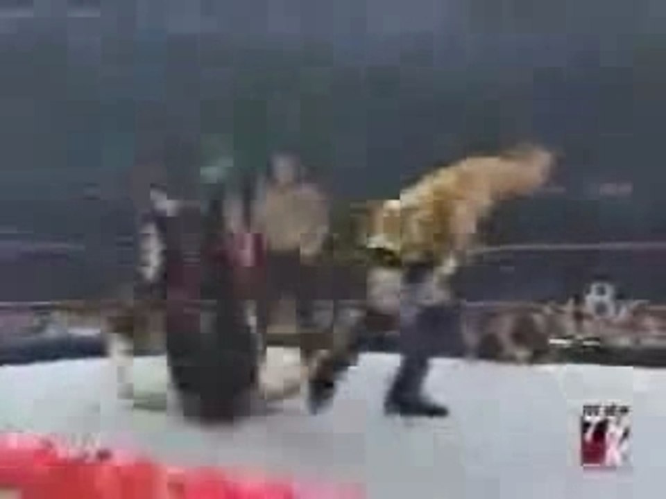 Rob van dam best moves