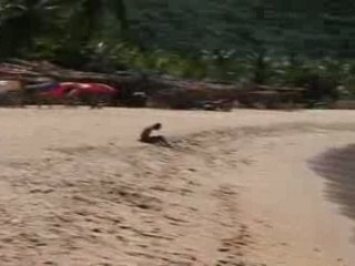 Beach Guide: Playa de Chuao, Venezuela