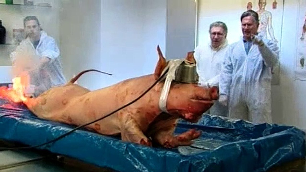 BBC - Horizon - 2008 - How to Kill a Human Being