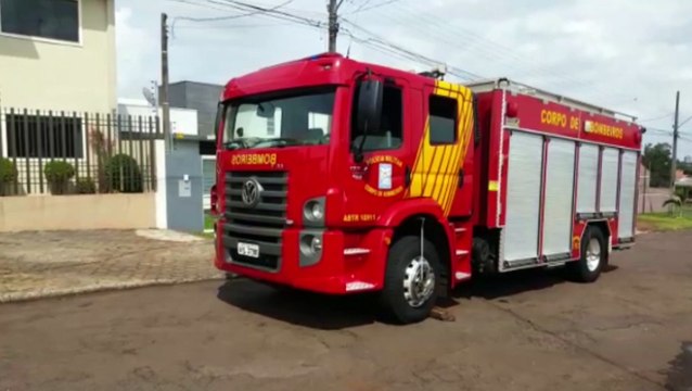 Bombeiros realizam corte de árvore no Parque São Paulo
