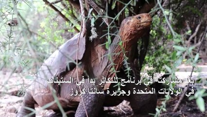 ذكر السلحفاة "دييغو" يعود إلى موطنه بعد إنقاذ فصيلته من الانقراض