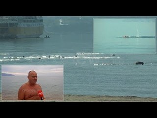 Ora News - Sfidon të ftohtin: 62 vjeçari çdo javë nga Fieri në Vlorë për tu larë në det
