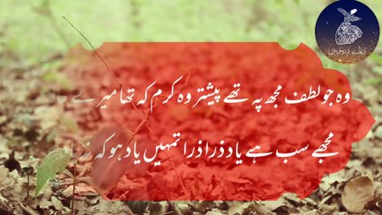 Tumhein Yad Ho Ky Na Yad Ho || Best Urdu Ghazal || Momin khan Momin || Urdu Poetry