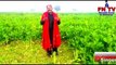 phullan jai zindagi nu ditta hi roul ve 2020 saraiki song singer M.Noshair zakhmi - YouTube