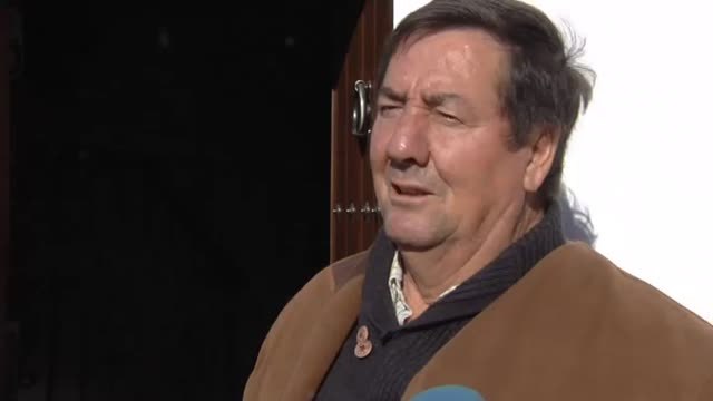 Los cerdos vuelven a pasearse por Trigueros