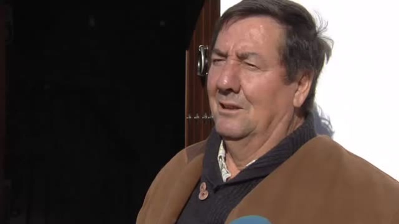 Los cerdos vuelven a pasearse por Trigueros
