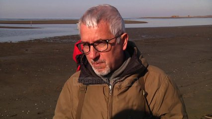 Po numërohen shpendët/Në parkun e Divjakës, zogjtë popullojnë gjithë zonën