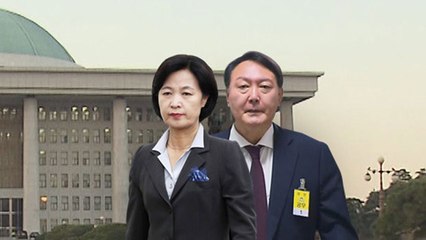 국회로 간 秋-검찰 갈등..."항명" vs "학살" / YTN