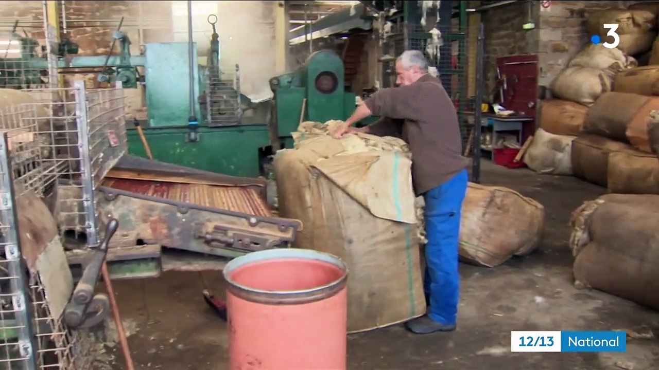 Haute-Loire : dans la dernière usine de lavage de laine en France