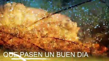 Conoce El Tiempo de Hoy Sábado 11 de Enero de 2020