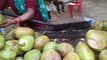Gujarat Nariyal Pani : Coconut Water..