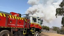 أستراليا تؤكد أن انتهاء أزمة الحرائق يحتاج لوقت طويل رغم الأمطار