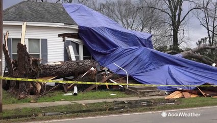 Tree hits this house, leads to one fatality