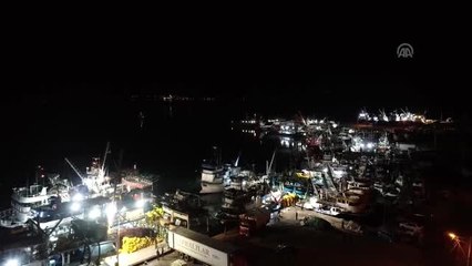 Karadeniz'de hamsi bereketi