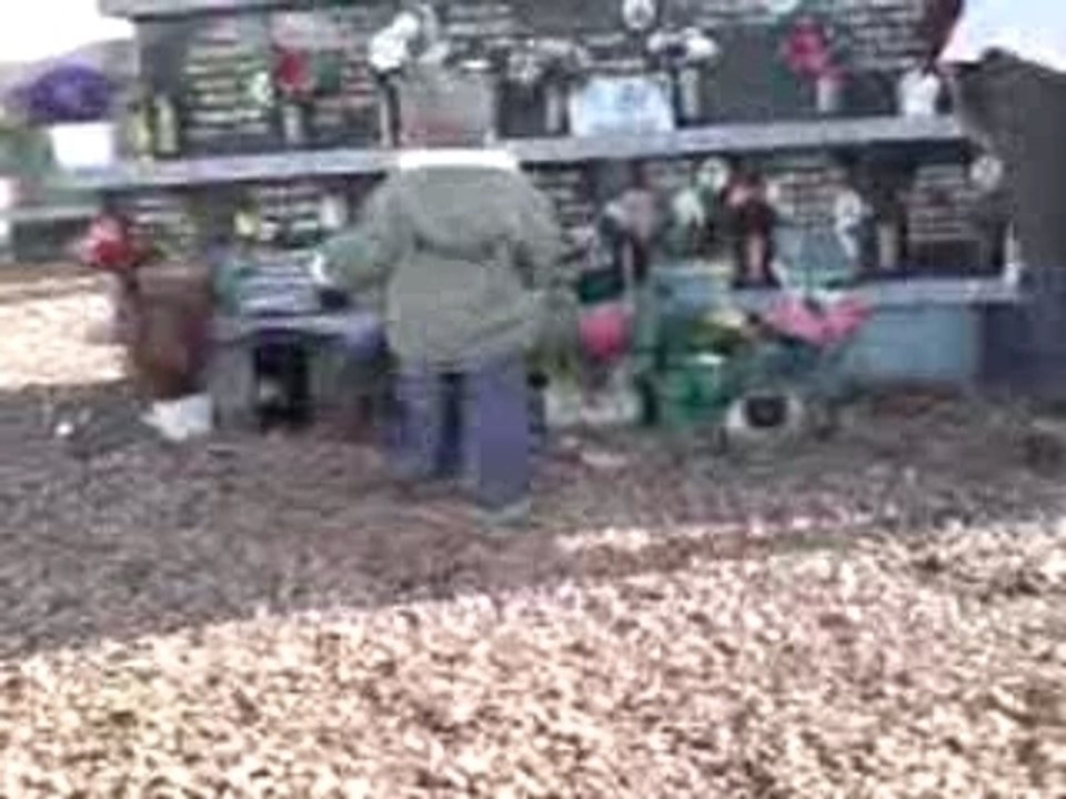 petite visite a pépé