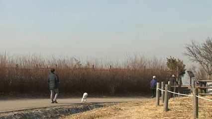 [날씨] 중부·영남 오전 미세 '나쁨'...오후 '보통' / YTN