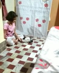 Little girl play with our rabbit, छोटी सी वच्ची, खरगोश के साथ खेलती हुई