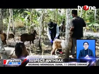 Suspect Anthrax di Gunung Kidul, 1 Orang Meninggal