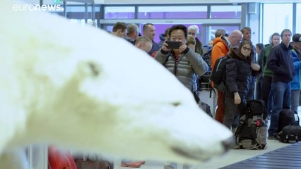 Face au tourisme de masse, les îles Svalbard prennent des mesures