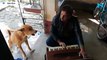 Dog sings 'Teri Meri Kahaani' along with man, has Ranu Mondal seen it?