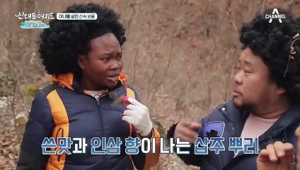 아내를 살린 산속 보물! 삽주&삼지구엽초&싸리나무