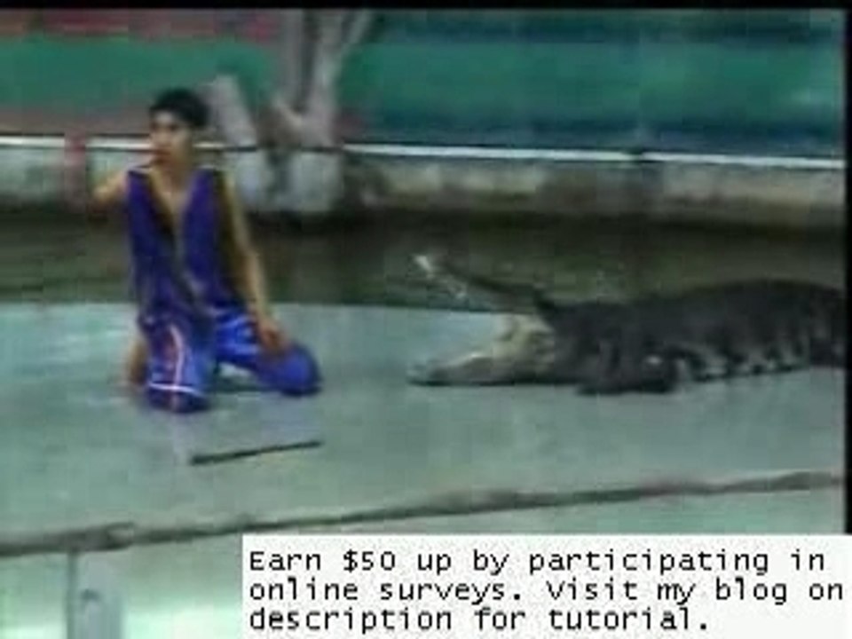 Crocodile accident