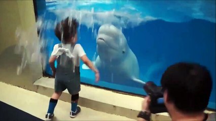 Hilarant : ce dauphin joue et arrose un enfant