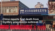 Pneumonia-stricken Wuhan: Images of seafood market and hospital