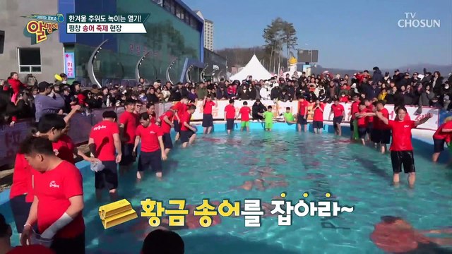 『평창 송어 축제』 입에서 살살 녹는 회에 구이까지 ♡