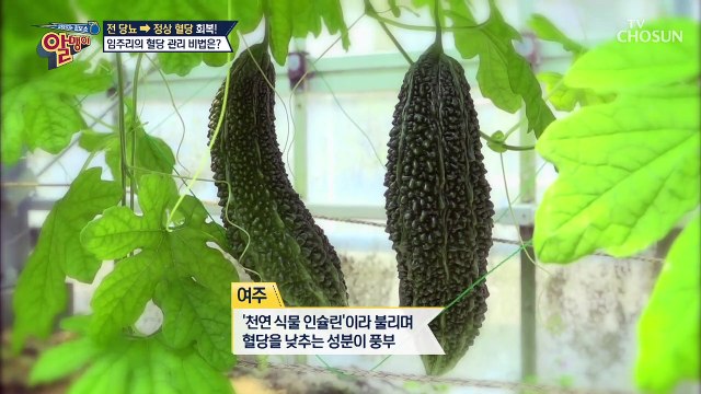 전 당뇨 → 정상 혈당, 임주리의 ※혈당 관리 비법※