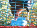 KAPUSO MO JESSICA SOHO JANUARY 12 2020 PART 2