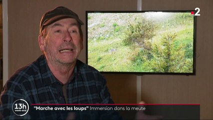 "Marche avec les loups" : un documentaire en forme d'ode à la nature