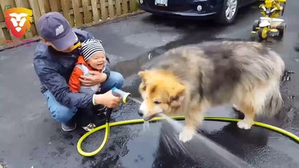 HILARIOUS ADORABLE BABIES- Funny Baby Videos #1