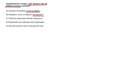 Sıradışı Analiz Yayınları TYT 3. Deneme Sınavı - Türkçe 17. Soru