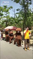 Tik tok gấu lầy lội