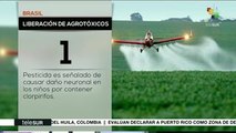 Brasil: aumenta la aprobación del uso de agrotóxicos con Bolsonaro