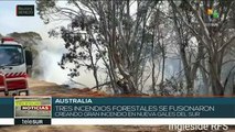 Australia:tres incendios forestales se fusionan en Nueva Gales del Sur