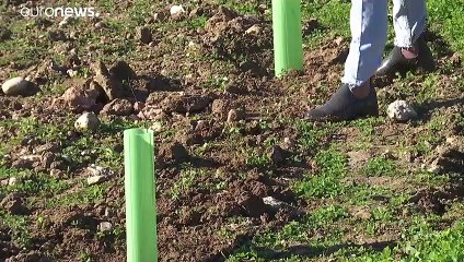 Lissabon ist "Grüne Hauptstadt Europas"