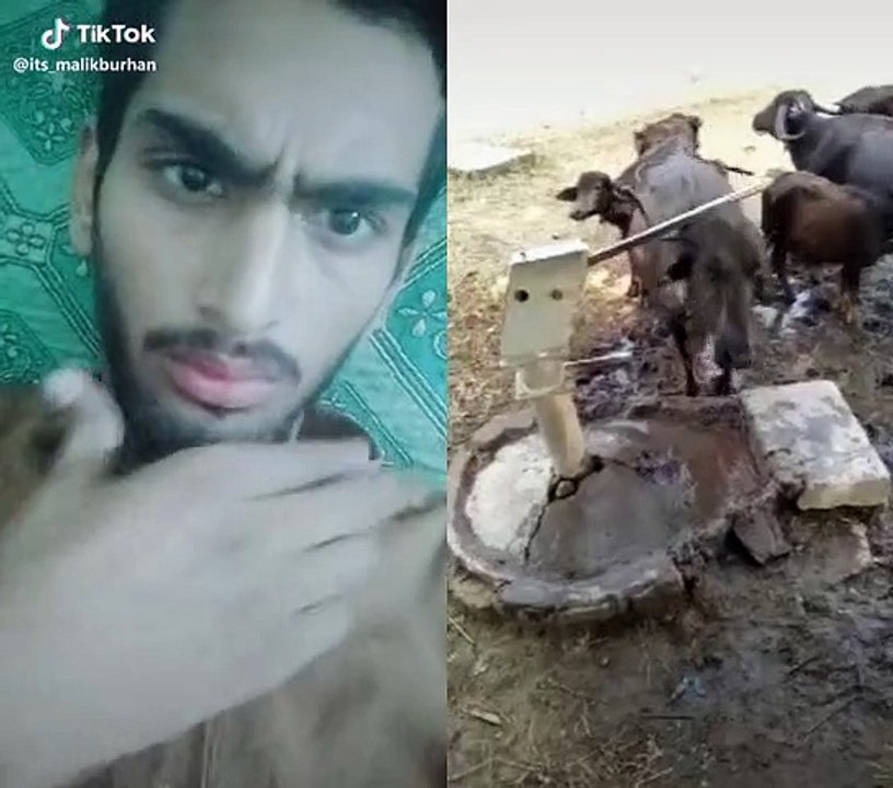 VID-20191014-WA0008