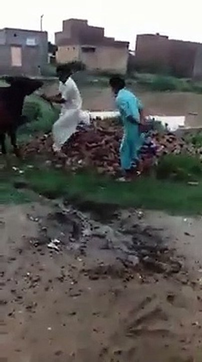 VID-20191005-WA0009