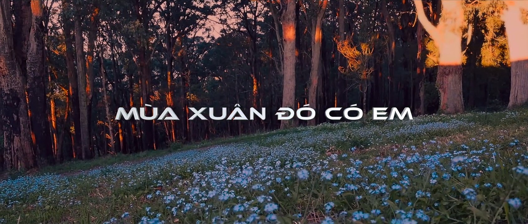 Mùa Xuân Đó Có Em - Huỳnh Phi Tiễn